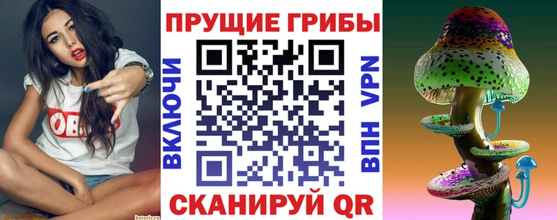 Псилоцибиновые грибы Psilocybe  Фролово 
