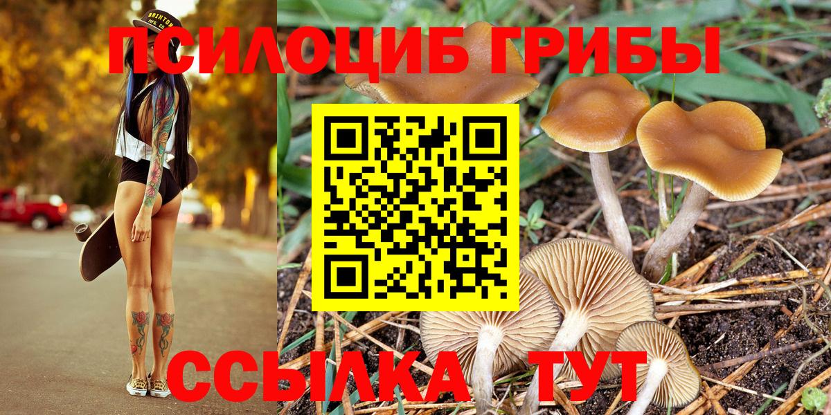 Фролово  Псилоцибиновые грибы ЛСД  Псилоцибиновые грибы MAGIC MUSHROOMS  Вход с VPN 
